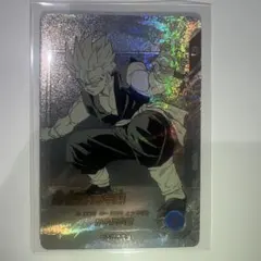 ドラゴンボールスーパーダイバーズ APT-009 孫悟飯:青年期　パラレル