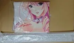 SOUNDVOLTEX コナステ グレイス ロングクッションカバー 年間パス