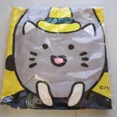 Item thumbnail for item c7a7d551-dee8-4cf9-927c-ef5ee4a7a76d