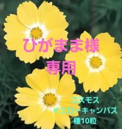 ひがまま様 リクエスト 2点 まとめ商品