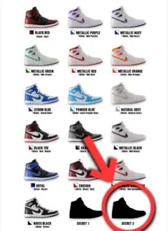 NIKE Air Jordan ミニチュア シークレット⑱-4