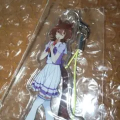 2026年最新】ウマ娘 アグネスタキオン キーホルダーの人気アイテム