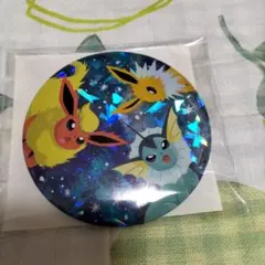ポケモン　ブイズ缶ミラー　サンダース、シャワーズ、ブースター
