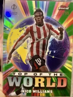 Item thumbnail for item 3ba4ff30-dec2-468b-8f86-fb71bba21f6d