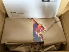 ポケモンカードゲーム スペシャルBOX ポケモンセンターヒロシマ　シュリンク付き