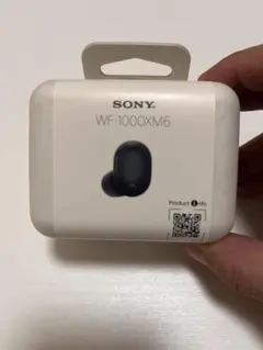 SONY WF-1000XM6 ⚠️片方紛失 - メルカリ