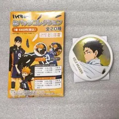 2025年最新】横断幕 缶バッジ 赤葦の人気アイテム - メルカリ