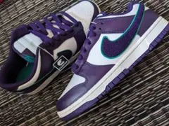 Dunk Low Chenille Swoosh 