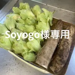 Soyogo様専用