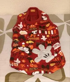 ペットパラダイスDSS ミッキー