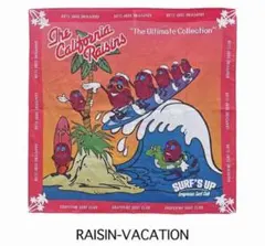 2026年最新】カリフォルニアレーズン 生地の人気アイテム - メルカリ