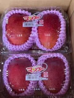 鹿児島県産 完熟マンゴーB品 アーウィン種 M〜Lサイズ 8玉 - メルカリ