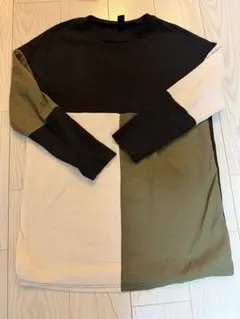 Item thumbnail for item a4b4a801-737a-4231-909b-85b9aeb68735