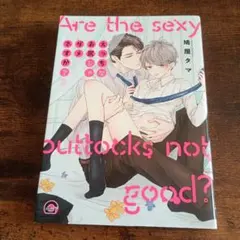 えっちなお尻じゃダメですか? 2