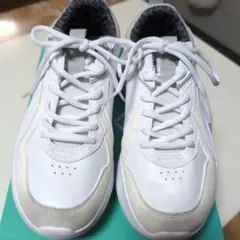 Item thumbnail for item 72f78565-a951-4243-85f3-19af5f2f4bbf