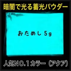 [인기 No.1 아쿠아] 트라이얼 5g 글로우 인 더 다크 파우더