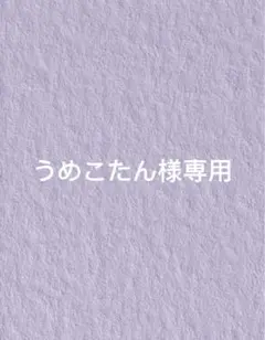 うめこたん様専用ページ