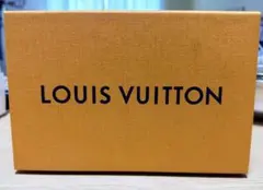 LOUIS VUITTON 箱