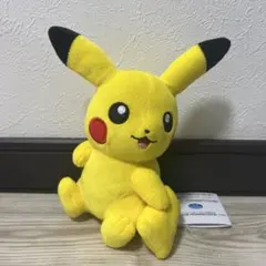 ポケットモンスターしっぽみてみて！ぬいぐるみ〜 피카츄 .メリープ.リオル〜