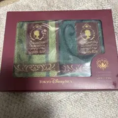 【新品未使用】東京ディズニーシー アナ雪ミニタオル2枚セット アナ エルサ