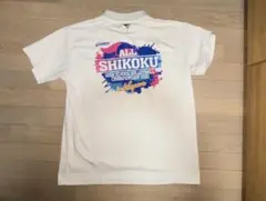 Item thumbnail for item 910d9e10-4273-4d51-868e-f8233ce117d9