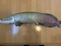 ピラルク 木彫り 魚の壁掛け 約70cm 両面彫刻 古代魚 インテリア ジャンク 2026年最新】古代魚 ピラルクの人気アイテム - メルカリ