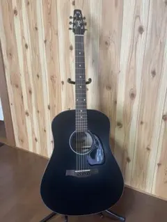 2025年最新】seagull s6の人気アイテム - メルカリ