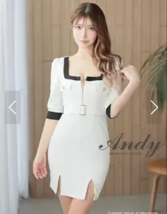 【定価26400円】Andy バイカラーフロントジップドレス Mサイズ