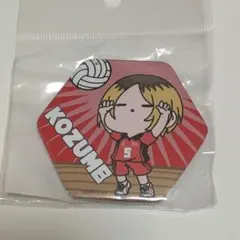 ハイキュー!! 六角形缶バッジ 孤爪研磨