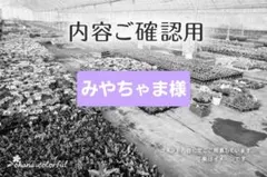 みやちゃま様嫁入りのサムネイル