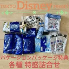 【新品未使用】【未開封】【非売品】Disney バケパ特典 各種 特盛詰合せ