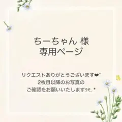 ちーちゃん様 おまとめ2点
