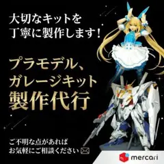 PG ストライクフリーダムガンダム 塗装済み完成品 絶版ガレージキット