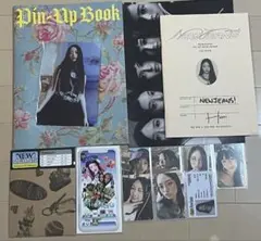 Newjeans Bluebook ver アルバム ハニ
