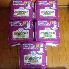 Item thumbnail for item 1b06e043-954d-445a-8b2b-4c95e2a62a67