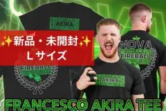 Item thumbnail for item 6bc10190-90c2-4ba8-a77d-0792ed118223