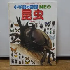 小学館の図鑑NEO 昆虫