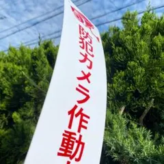 Item thumbnail for item 258f2a08-7f49-4f81-b418-b47f7a9a237f