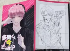 多聞くん　アニメイト　3巻特典　リーフレット　ジメ原　ラフ画あり　師走ゆき