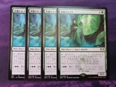 MTG　培養ドルイド/Incubation Druid　4枚セット