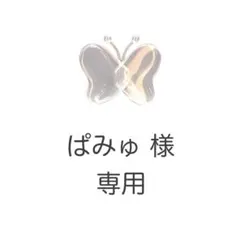 ぱみゅ様 専用ページ