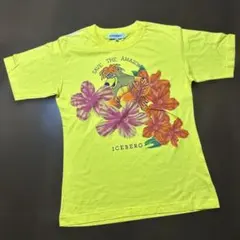 アイスバーグTシャツ42のサムネイル