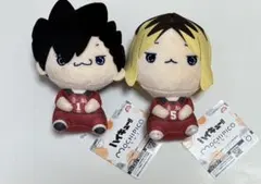 ハイキュー　もちぴこ　黒尾鉄朗・孤爪研磨