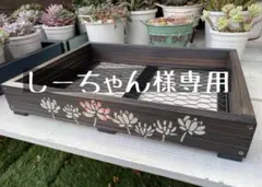 しーちゃん様専用