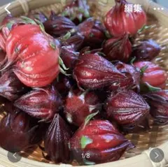 ローゼルの種100粒以上