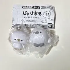 じょせまる めじるしアクセサリー