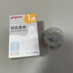 Item thumbnail for item 500b3ea2-ea7f-425a-878f-cb8ced55ad7f