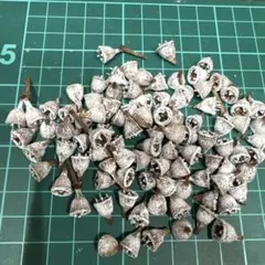 にゃこ (オーダー休止中です)様 リクエスト 2点 まとめ商品