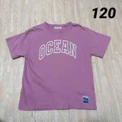 BAYFLOW キッズTシャツ ピンク 120cm