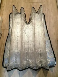 Item thumbnail for item 3ed3ca92-c002-4a44-bfc0-a8e7d81e79fa